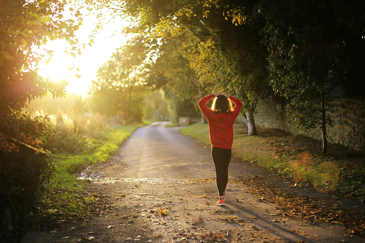A woman jogging on a patch under the shade of trees at daybreak.